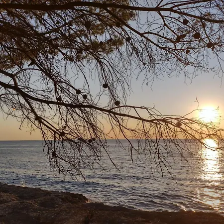 Agava, 200m From Kamenjak, Own Terrace, Garden And Parking, New Kitchen Apartamento